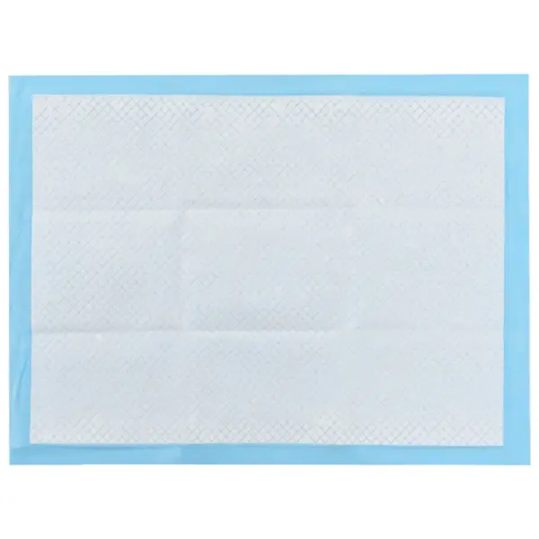 Imavad kutsika treeninglinad, 100 tk, 60 x 45 cm, sinine-valge, 150 ml – 8