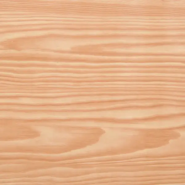 Iseliimuvad puidusüüga uksekiled, vahtra toon, PVC, 2 tk, 210 x 90 cm – 6