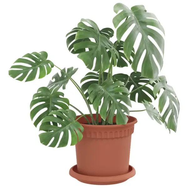 Ümmargune lilletaldrikute komplekt, kohviroosa plastik, 24 tk, Ø 14 x 2 cm - 3
