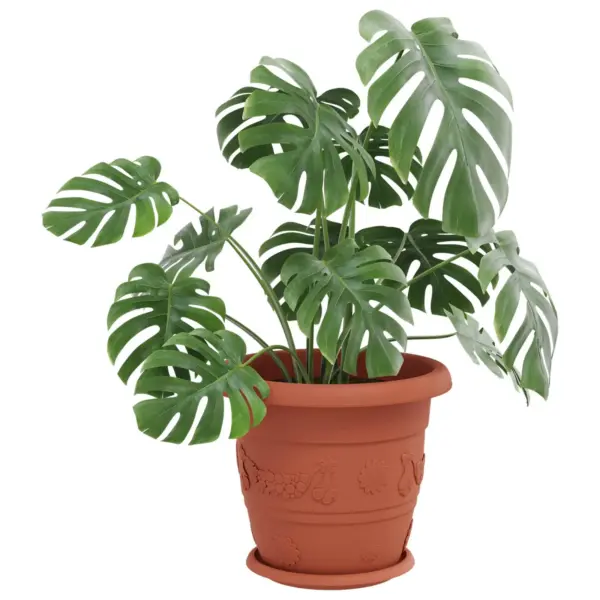 Plastist taimepotid äravooluavadega, kohviroosa, 6 tk, Ø 26 x 21,5 cm – 3