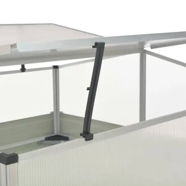 Kompaktne kasvuhoone antratsiithall, alumiiniumkatusega, tsingitud terasalusega, 100 x 100 x 77 cm – 5