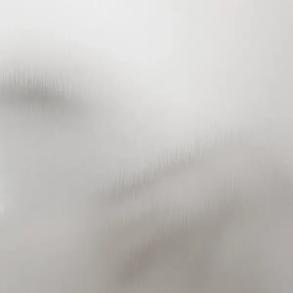 Kuusnurkne roostevabast terasest peenrakast, ilma põhjata, 104 x 90 x 45 cm, hõbedane – 9