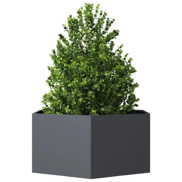 Kuusnurkne terasest peenrakast, antratsiithall, 104 x 90 x 45 cm – 3