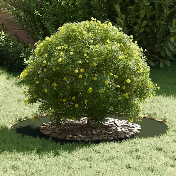 Lamedad terasest puuringid, 5 tk komplekt, oliiviroheline, Ø50/80 cm – 3