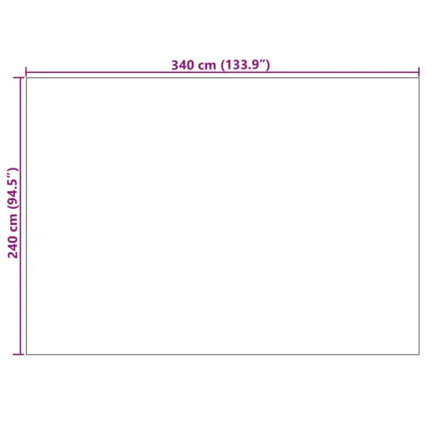 Libisemiskindel põrandavaip Agira, neutraalne pruun, 340 x 240 cm, polüester – 8