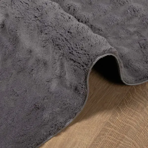 Libisemisvastane ristkülikukujuline vaip Sirolo, antratsiit, 230 x 160 cm, polüester – 5