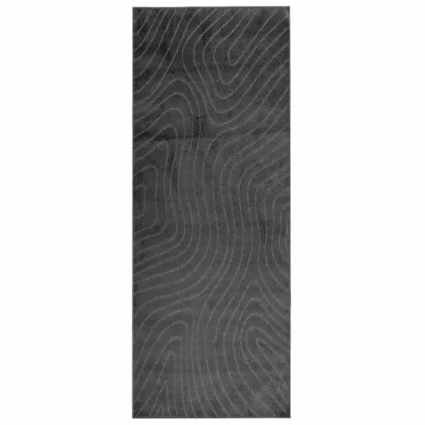 Libisemisvastane polüestrist põrandavaip Palmeras, antratsiit, 150 x 80 cm – 2