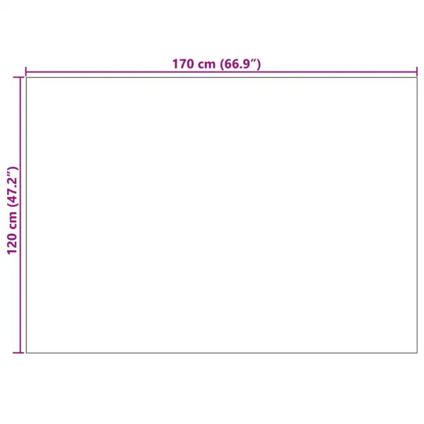 Libisemisvastane ristkülikukujuline vaip Sirolo, antratsiit, polüester, 170 x 120 cm – 8