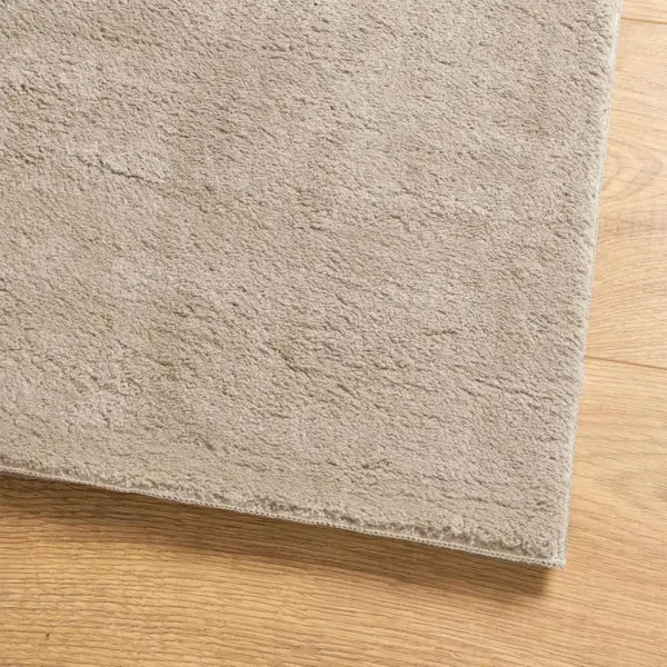 Libisemisvastane alavaip HUARTE koridori ja esiku jaoks, liivakarva polüester, 300 x 80 cm – 7