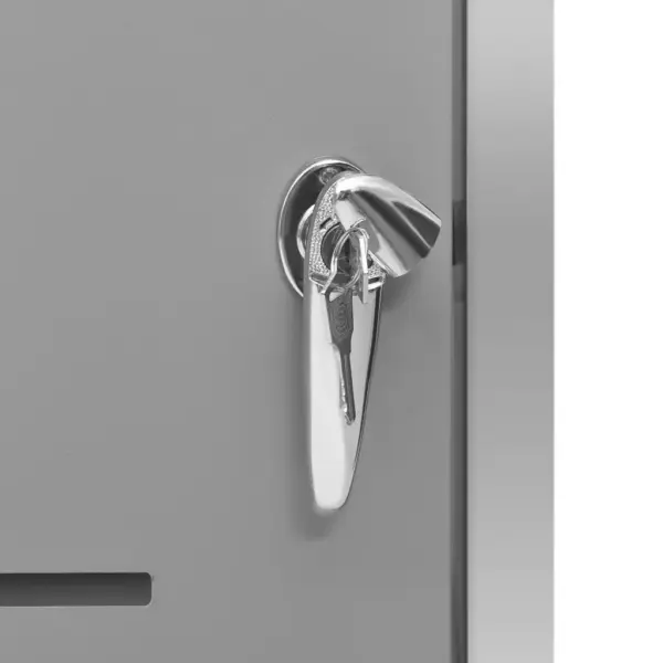 Ühe ratastega prügikasti hoiukuur, hall tsingitud teras ja roostevaba teras, lukustatav, 69 x 77,5 x 112,5 cm – 11