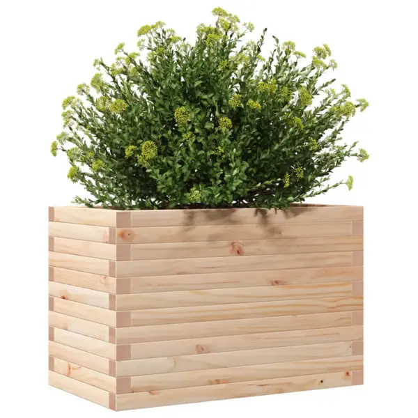 Aia taimekast avatud põhjaga, töötlemata männipuit, 70 x 40 x 45,5 cm – 4