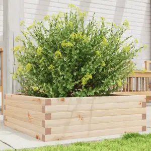 Männipuidust aia taimekast, töötlemata, 70 x 70 x 23 cm