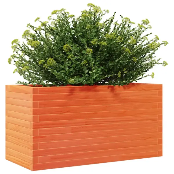 Vahapruun männipuidust aia taimekast, 90 x 40 x 45,5 cm – 4