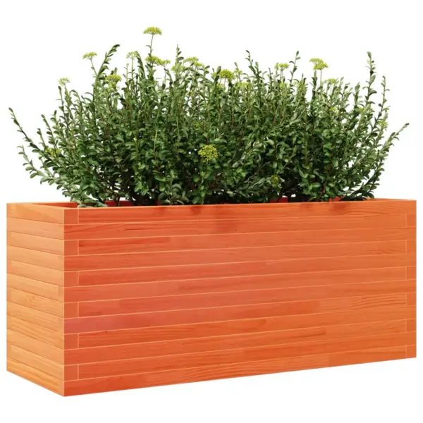Aia taimekast männipuidust, vahapruun, 110 x 40 x 45,5 cm – 4