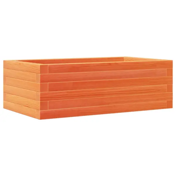 Aia taimekast avatud põhjaga, vahapruun männipuit, 70 x 40 x 23 cm – 2