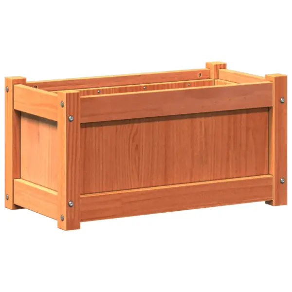 Aia taimekastid 2 tk, vahapruun männipuit, 60 x 31 x 31 cm - 5