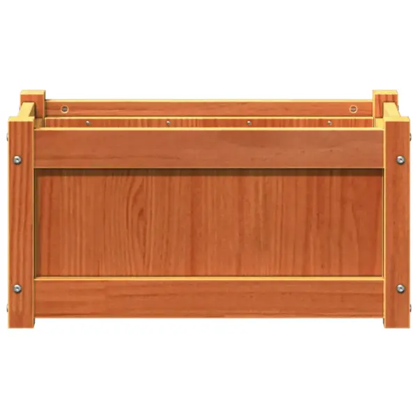Aia taimekastid 2 tk, vahapruun männipuit, 60 x 31 x 31 cm - 6