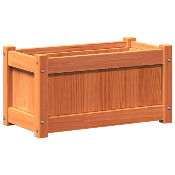 Aia taimekastid 2 tk, vahapruun männipuit, 60 x 31 x 31 cm - 8