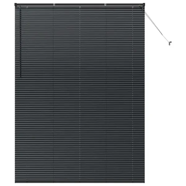 Veneetsia ribakardin, must alumiinium, 220 x 155 cm – 2