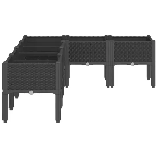 Aia jalgadega taimekast rotangimustriga, must PP, 160 x 120 x 42 cm - 4
