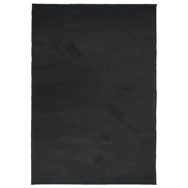 Lühikese karvaga vaip OVIEDO, must, 160 x 230 cm – 2