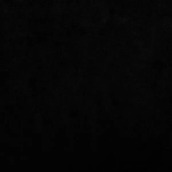 Sametist koeradiivan väikestele lemmikloomadele, must, 70 x 48 x 22 cm – 6