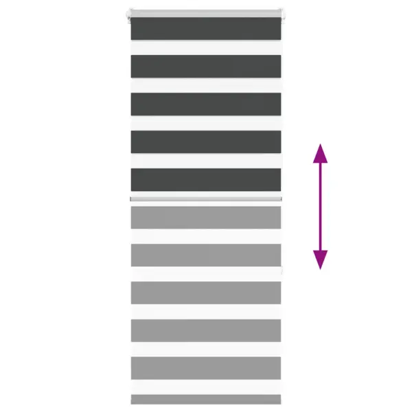 Must sebra ruloo privaatsusribadega, 65 x 150 cm, polüester – 5