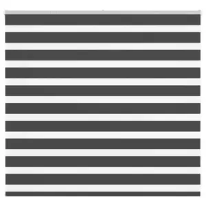 Zebra ruloo läbipaistvate ja läbipaistmatute ribadega, must, 160 x 100 cm, polüester