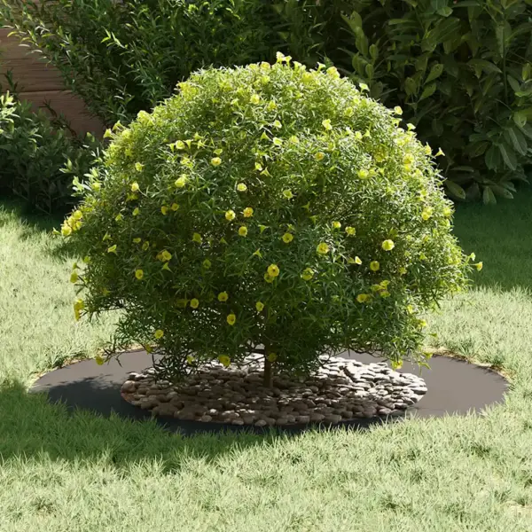 Lamedad dekoratiivsed puurõngad 5 tk, must teras, Ø50/80 cm – 3