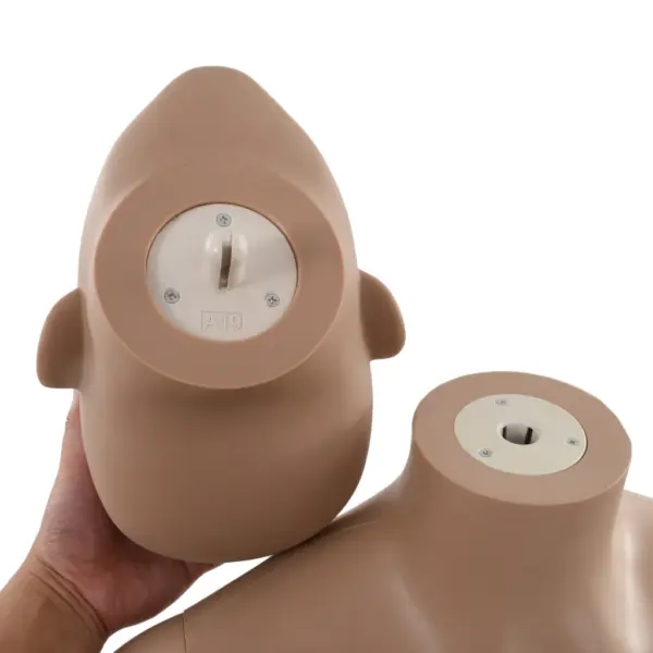 Täispikk naismannekeen klaasist alusel, beež, 180 cm – 10