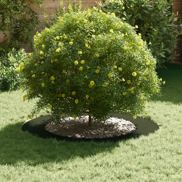 Oliiviroheline terasest puuring puu aluse kaitseks, Ø60/90 cm – 3