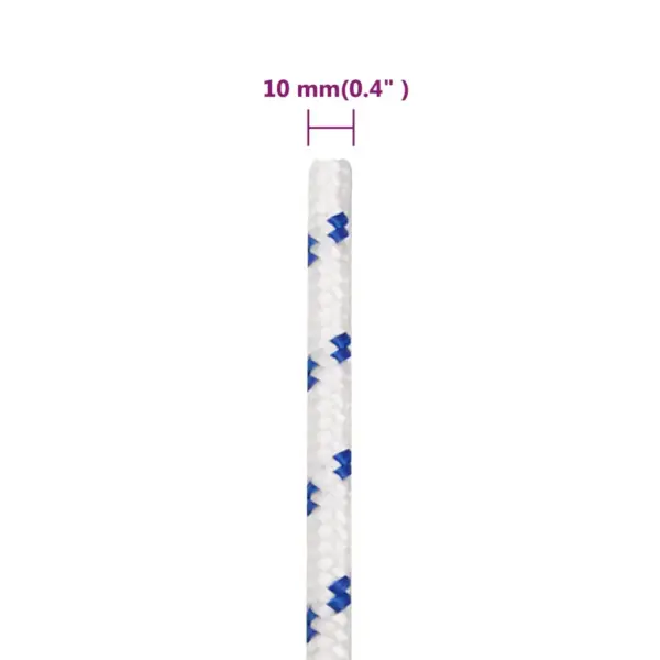 Paadiköis polüpropüleenist, valge, 10 mm, 500 m rull - 6