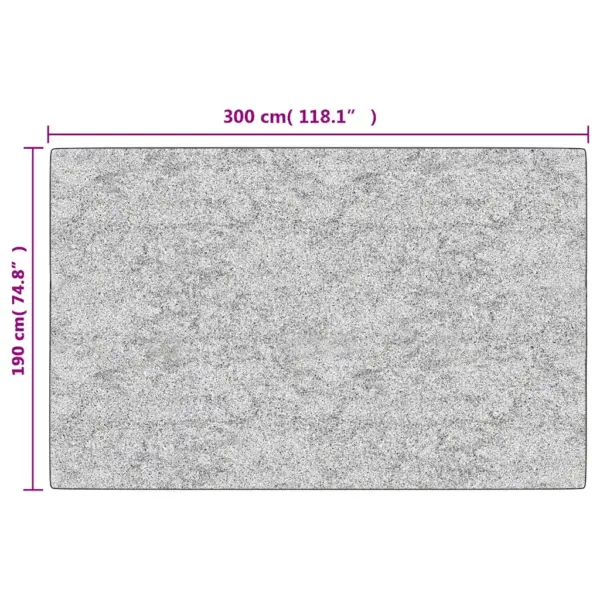 Pestav libisemisvastane vaip, 190 x 300 cm, mitmevärviline – 6