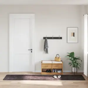 Pestav libisemisvastane vaip, antratsiithall, 80 x 300 cm