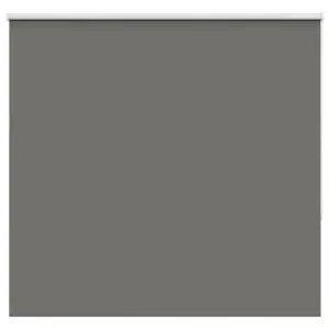 Pimendav ruloo, hall, 165 x 175 cm, kanga laius 161,6 cm, polüester