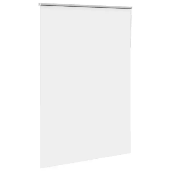 Pimendav ruloo privaatsuse tagamiseks, valge, 145 x 210 cm, kanga laius 141,6 cm, 100% polüester – 3
