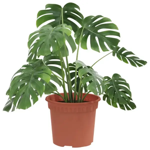 Ümmargused plastlillepotid drenaažiavadega, kohviroosa, Ø 12,5 x 10 cm, 6 tk – 3