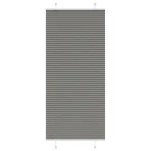 Plisseeritud ruloo privaatsuse ja päikesekaitsega, antratsiithall, 100 x 200 cm