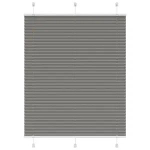 Plisseeritud ruloo privaatsuseks, antratsiithall, 110 x 150 cm, 100% polüester