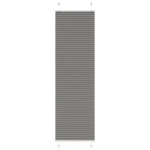 Plisseeritud ruloo privaatsuse ja päikesekaitsega, antratsiithall, 60 x 200 cm