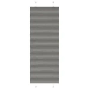 Plisseeritud ruloo privaatsuse ja päikesekaitsega, antratsiithall, 70 x 200 cm