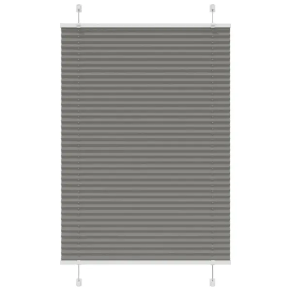 Plisseeritud ruloo privaatsuseks, antratsiithall, 95 x 100 cm – 2