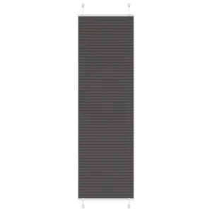 Plisseeritud ruloo privaatsuseks, must, 60 x 200 cm, 100% polüester, kahe paigaldusviisiga