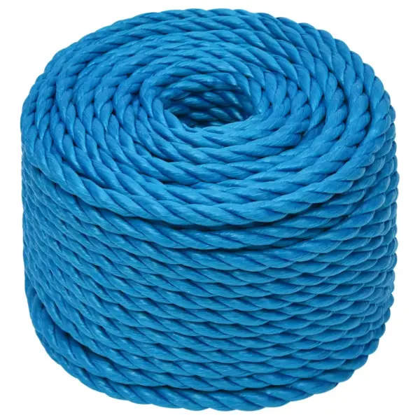 Polüpropüleenist töököis, sinine, 10 mm, 25 m - 2