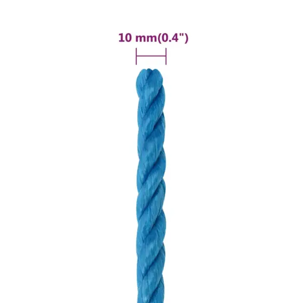 Polüpropüleenist töököis, sinine, 10 mm, 25 m - 6