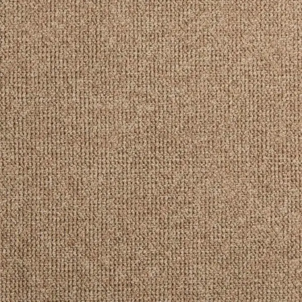 Libisemisvastase põhjaga põrandavaip Agira, pruun polüester, 280 x 200 cm – 7