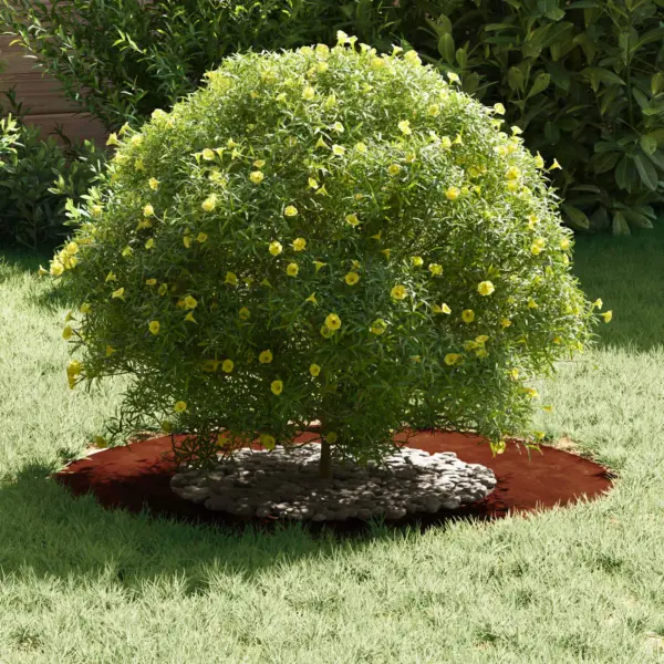 Lame terasest puutüverõngas, pruun, Ø40/70 cm, 5 tk – 3