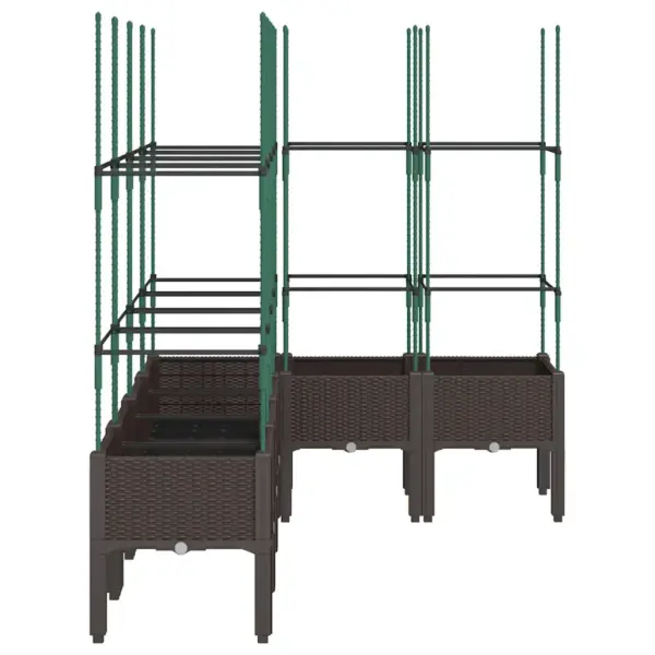 Rotangimustriga võrega kõrgendatud taimekast, pruun PP, 160 x 120 x 142,5 cm – 4
