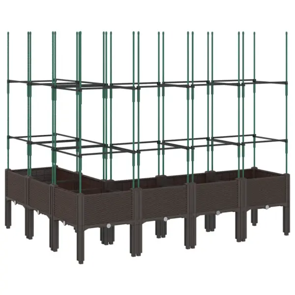 Rotangimustriga võrega kõrgendatud taimekast, pruun PP, 160 x 120 x 142,5 cm – 5