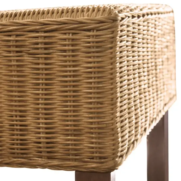 Söögitoolid mangopuidu ja ehtsa rotangiga, pruun, 2 tk, 45 x 62 x 93 cm – 8